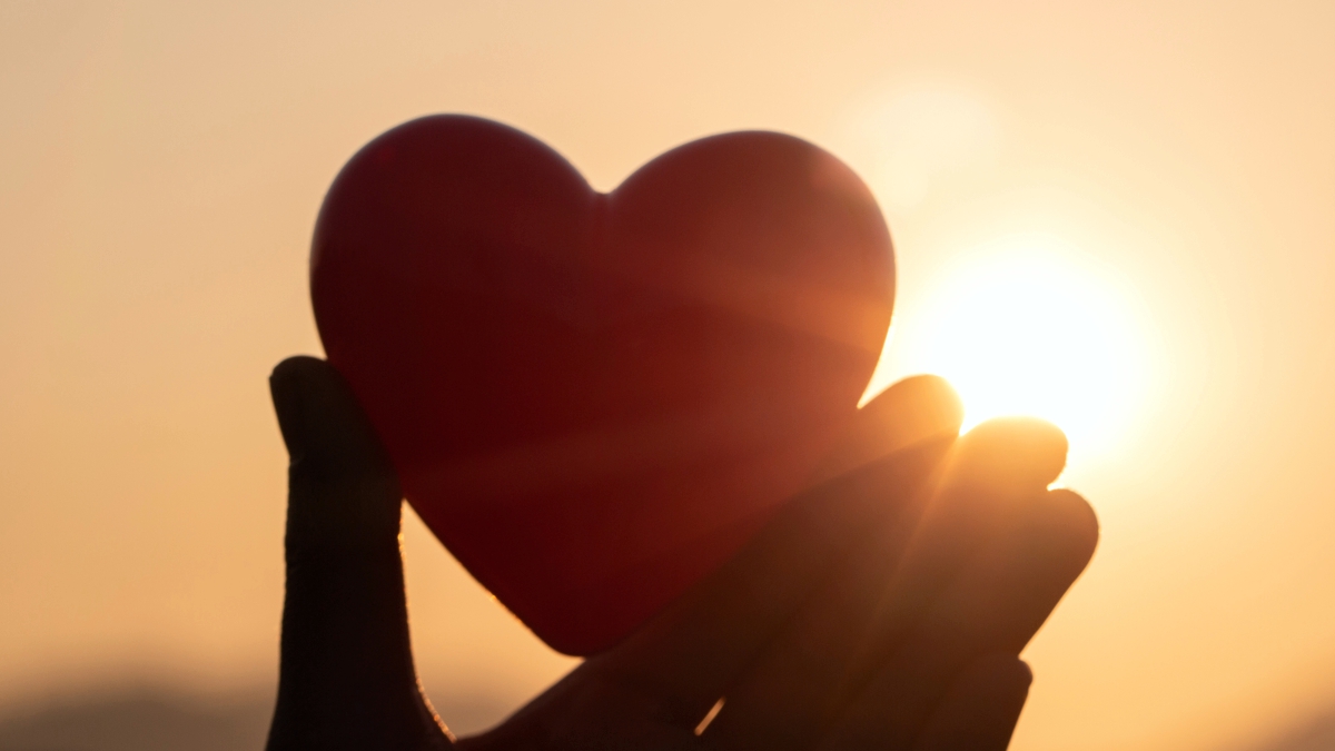 Rumo ao amor, dia 19: A sabedoria