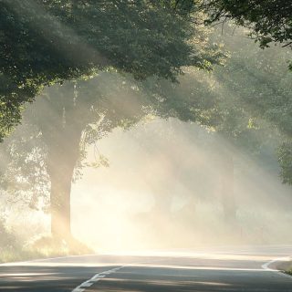 Escutar para amar: O caminho interior de Etty Hillesum