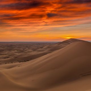 “Sermão de Quarta-feira de Cinzas”, do Padre António Vieira, por Luís Miguel Cintra