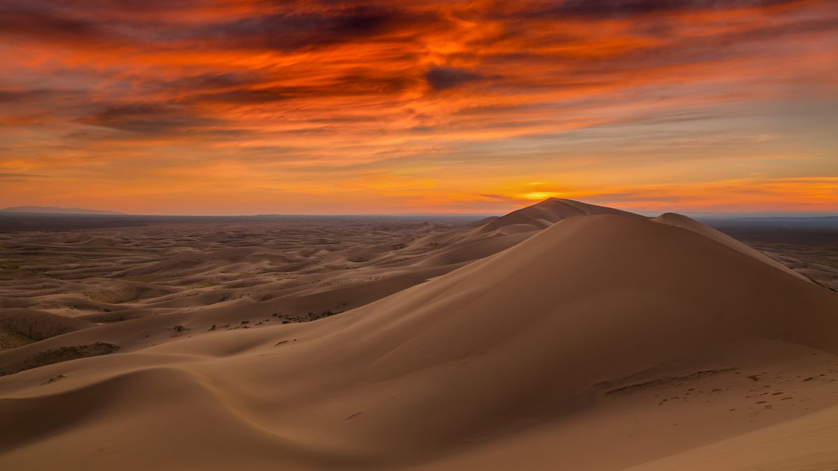 Começa um caminho novo. No deserto. Com paciência. Na fragilidade