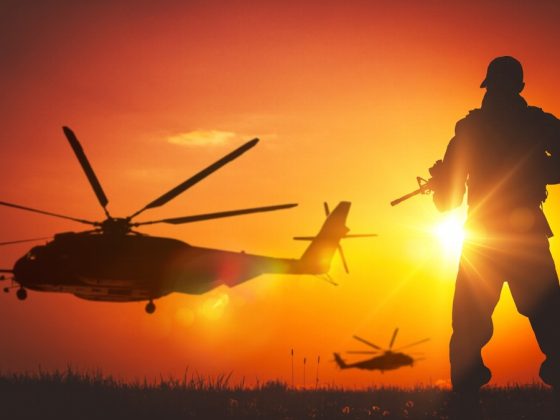Predação, violência e guerra