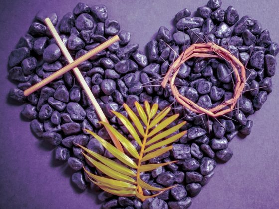 Sem fraternidade, a cruz «é somente um objeto de culto e decorativo»
