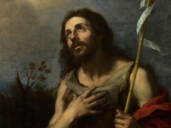 S. João: Quem é e o que nos pede