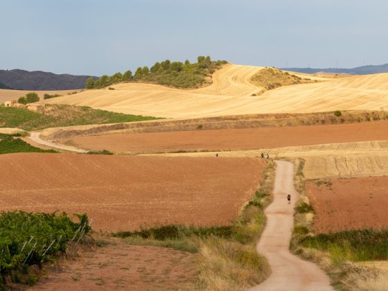 A pé, de bicicleta ou em casa, do Caminho nunca se volta igual