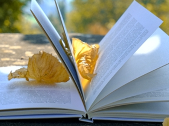 Novos livros: Novembro 2021