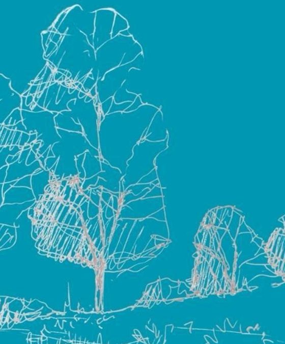 Pastoral da Cultura de Coimbra apresenta “Passaporte Cultural e Espiritual” para 2025-26