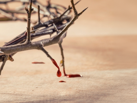 Santo Estêvão, uma história de sangue que continua