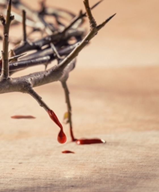 Santo Estêvão, uma história de sangue que continua