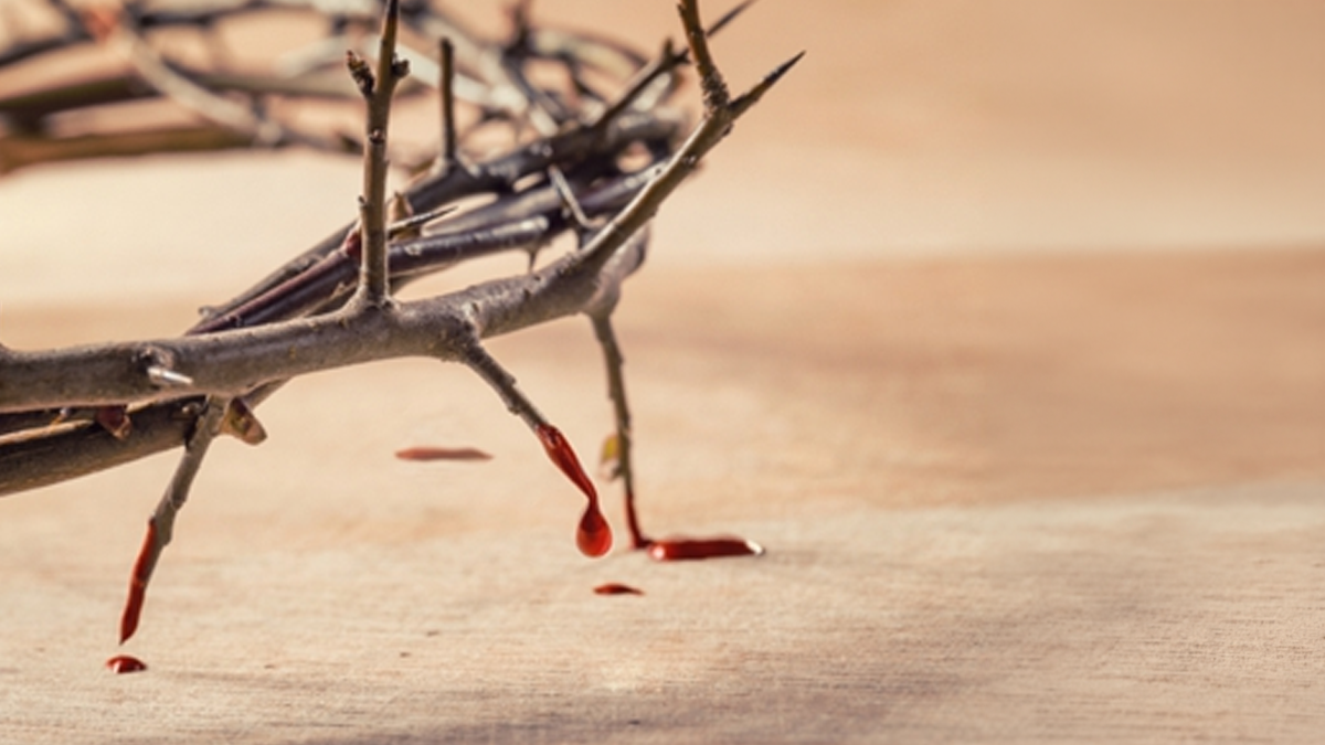 Santo Estêvão, uma história de sangue que continua