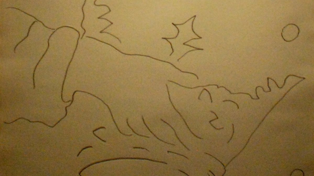 11 (12)