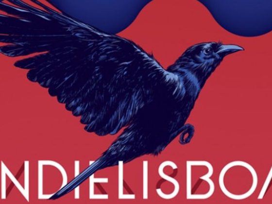 IndieLisboa 2015: Filme e cineasta premiado, Declaração, Júri