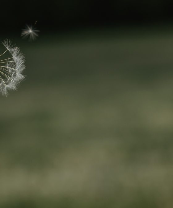 Jornada Nacional da Pastoral da Cultura 2022: Programa, informações, inscrição