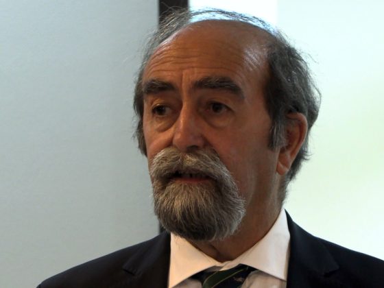 Igreja e cultura: «Se vivêssemos sempre, até às últimas consequências, a fraternidade amorosa…»