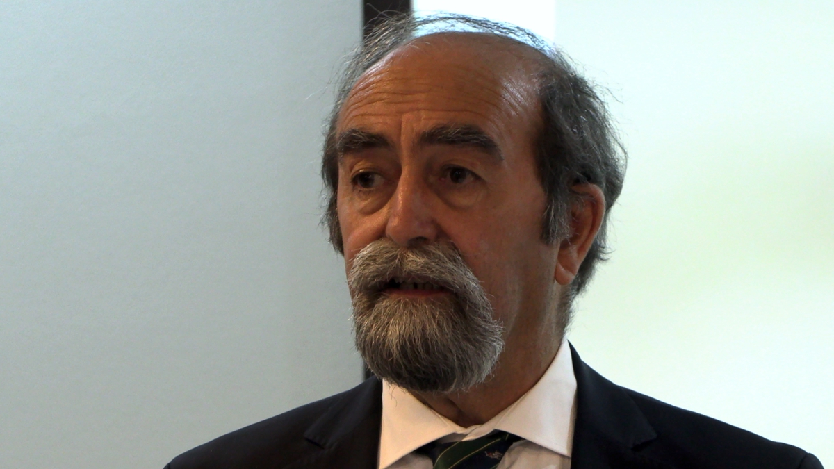 Igreja e cultura: «Se vivêssemos sempre, até às últimas consequências, a fraternidade amorosa…»