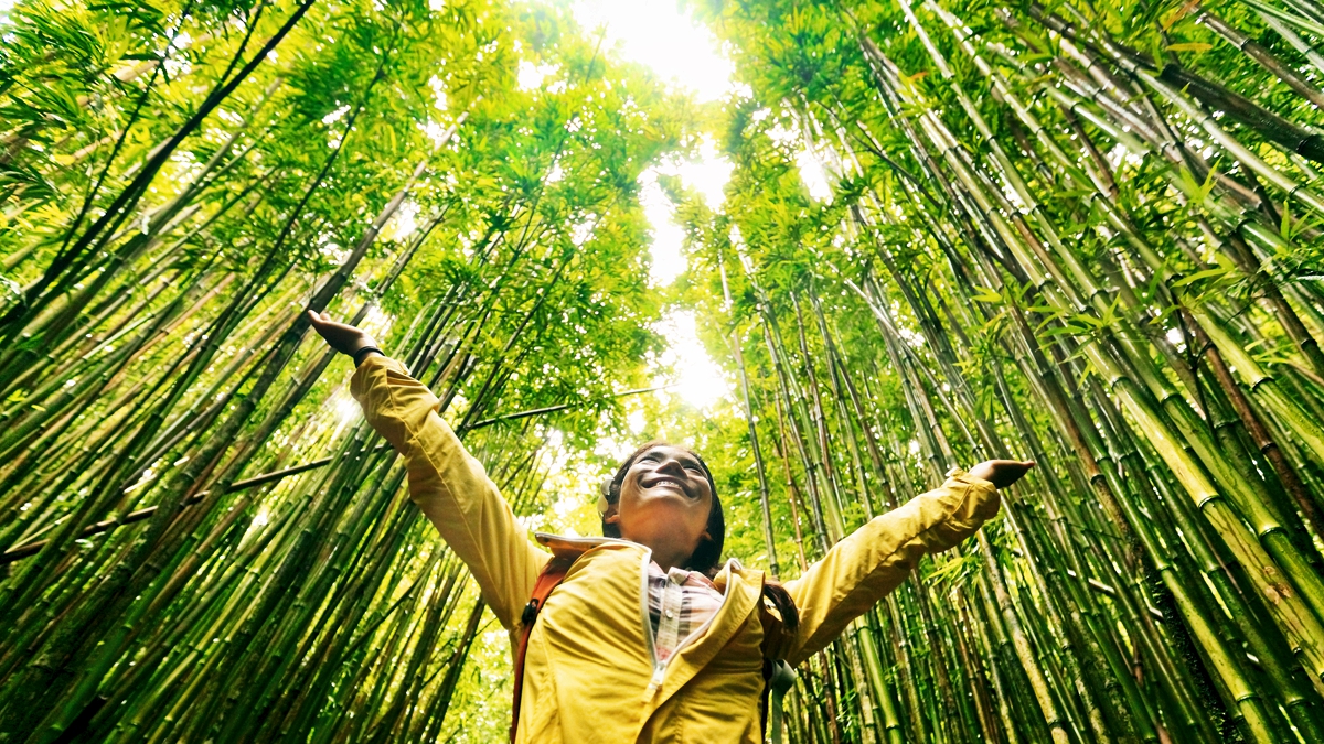Dia Mundial do Ambiente: Da Criação à “Laudato si’”, entre o louvor e o cuidado da casa comum